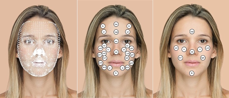 Method and analysis of color changes of facial skin after applying skin  makeup - ScienceDirect